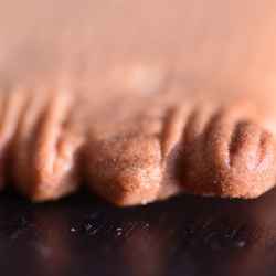 2016-12 France/St Malo/DSC_0080.JPG